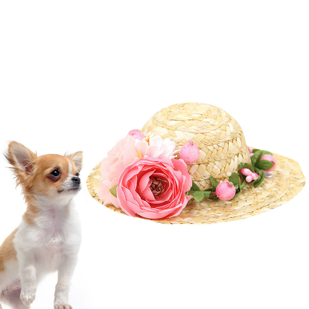 Hawaii-Strohhut für Hunde, Grö – Straw Hat Summer Bewertung und Preis