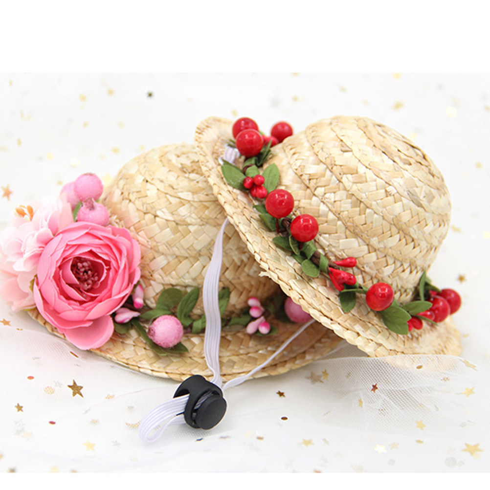 Hawaii-Strohhut für Hunde, Grö – Straw Hat Summer Bewertung und Preis