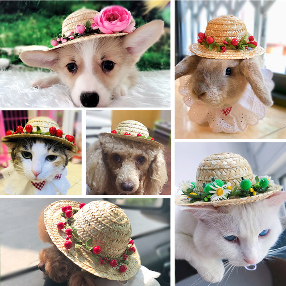 Hawaii-Strohhut für Hunde, Grö – Straw Hat Summer Bewertung und Preis